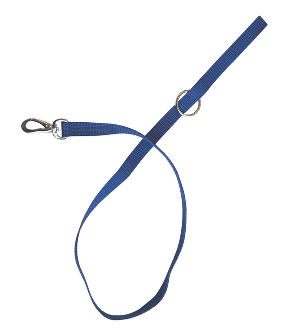 M-PETS Sportline Dog Leash Blue