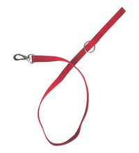 M-PETS Sportline Dog Leash Red