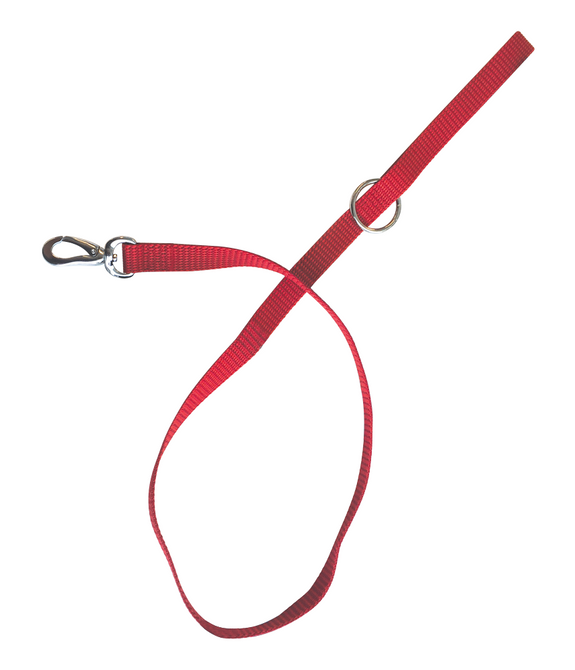 M-PETS Sportline Dog Leash Red