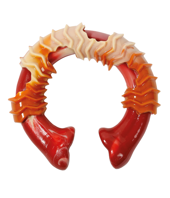 M-PETS Carnivore Ring Bone L Dog Toy