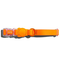 Zee.Dog Neopro Tangerine Collar Large