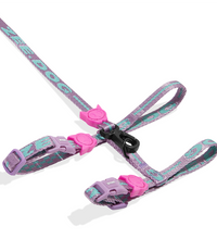 Zee.Cat Aura Harness & Leash Set