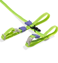 Zee.Cat Nox Lumen Harness & Leash Set