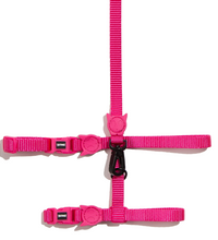 Zee.Cat Pink Led Harness & Leash Set