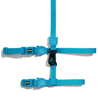 Zee.Cat Ultimate Blue Harness & Leash Set