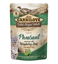 carnilove-pheasant-enriched-with-raspberry-leaves-for-adult-cats-wet-food-pouches-24x85g -1