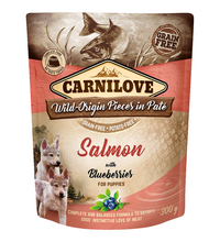 carnilove-salmon-with-blueberries-for-puppies-wet-food-pouches-12x300g -1