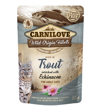 carnilove-trout-enriched-with-echinacea-for-adult-cats-wet-food-pouches-24x85g -1