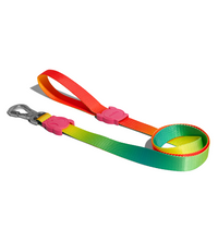 Zee.Dog Citrus Leash Small