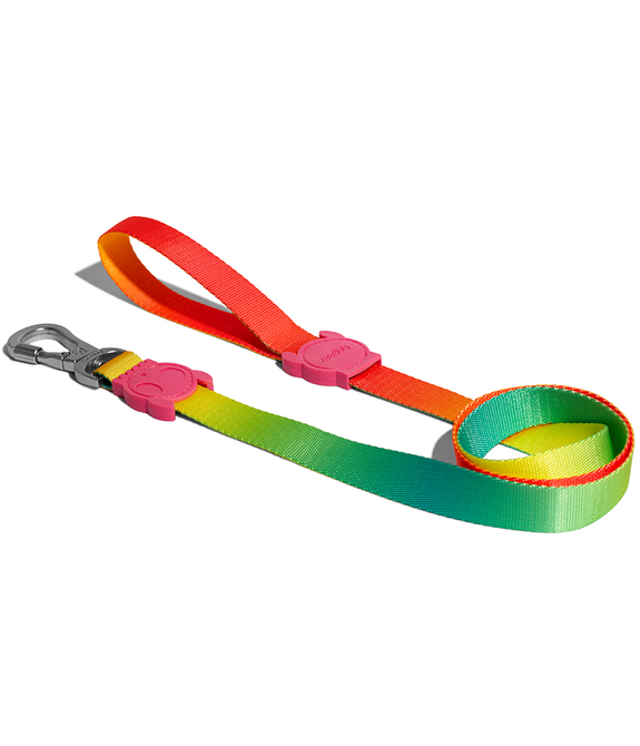 Zee.Dog Citrus Leash Small