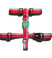 Zee.Dog Lola H-Harness Large