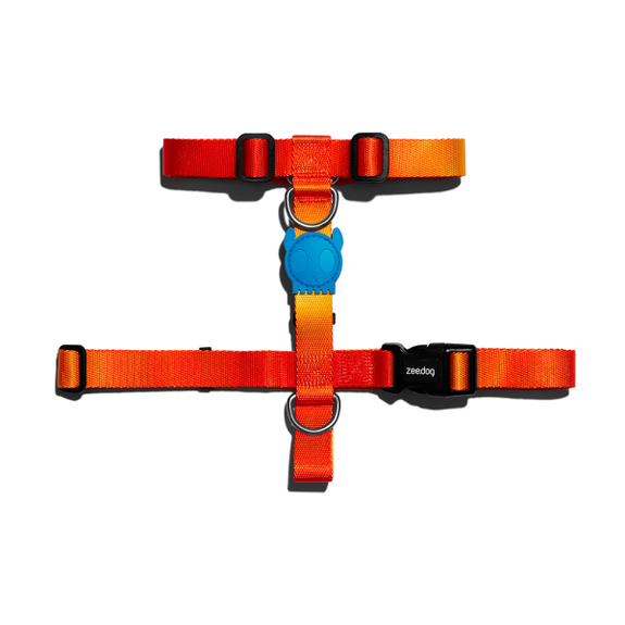 Zee.Dog Solaris H-Harness Medium