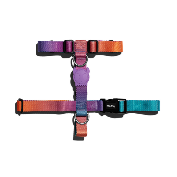 Zee.Dog Wave H-Harness Small