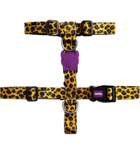 Zee.Dog Honey H-Harness Medium