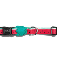 Zee.Dog Lola Collar Extra Small