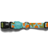 Zee.Dog Florida Collar Large